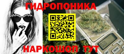 шишки Гусь-Хрустальный